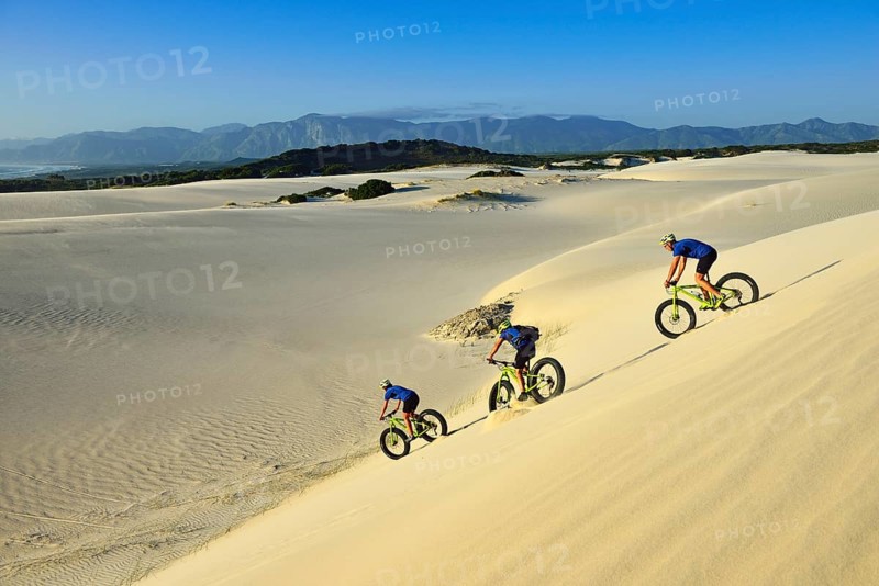 Mountain bikers with fat bikes descending sand dunes