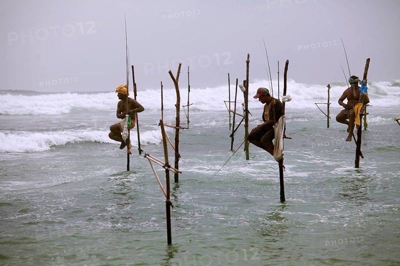 Stilt Fisherman