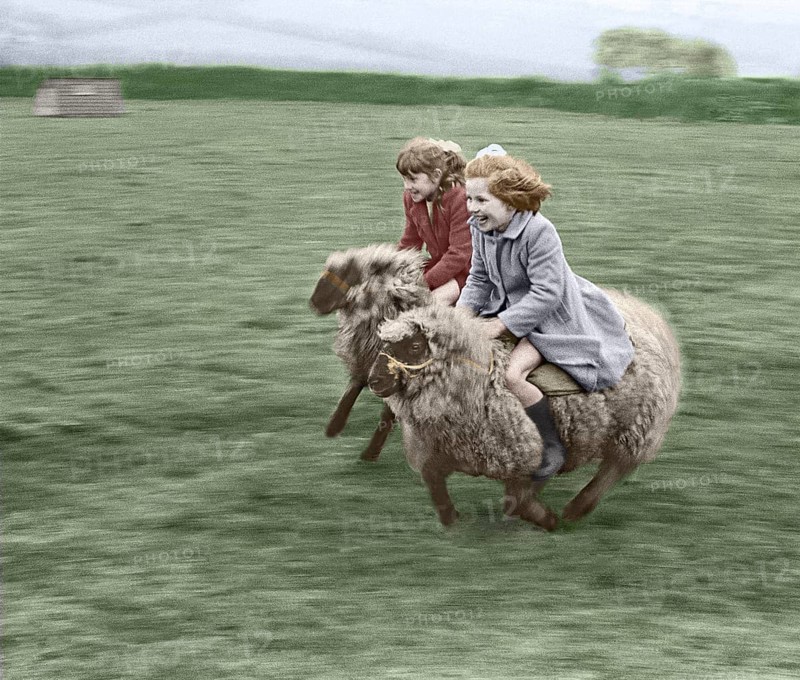 Two children ride on sheep