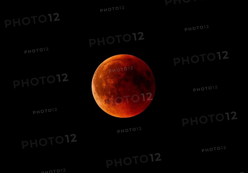 Bloodmoon