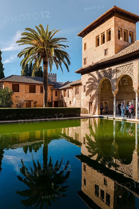 Antique Building El Partal with pool and palm trees