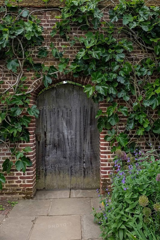 Old door