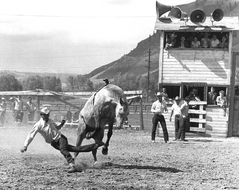 Man on horse during rodeo