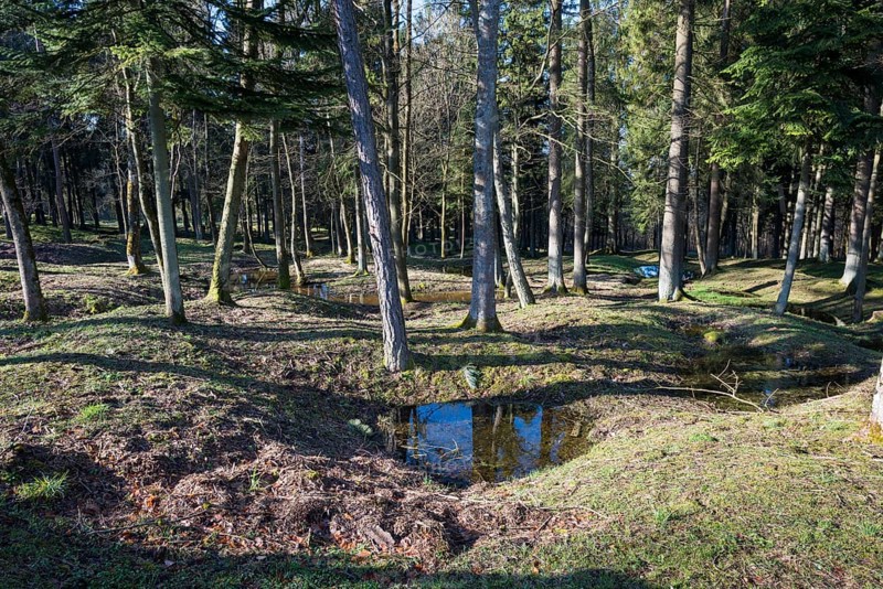 Site of the destroyed village Fleury-devant-Douaumont