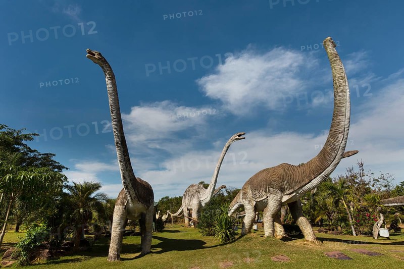 Dinosaur Park