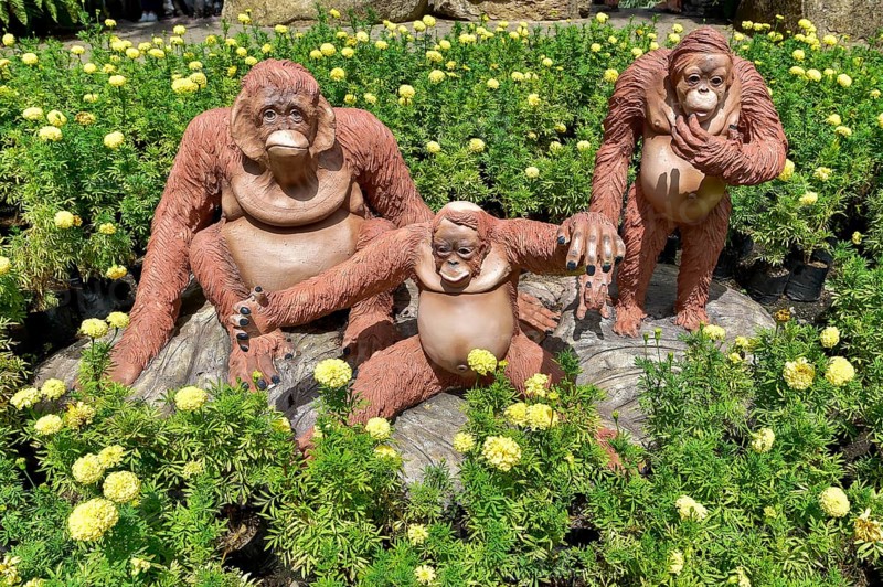 Orang Utan figures