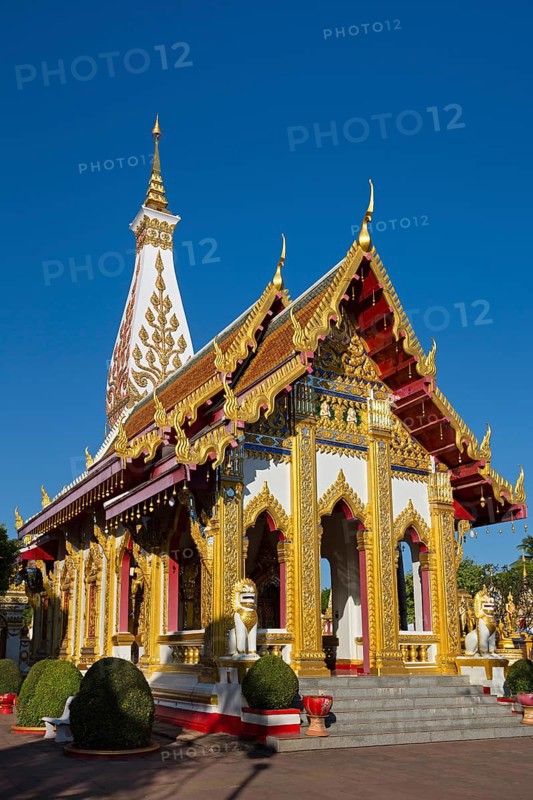 Bot in front of the Chedi of Wat Phra That Phanom