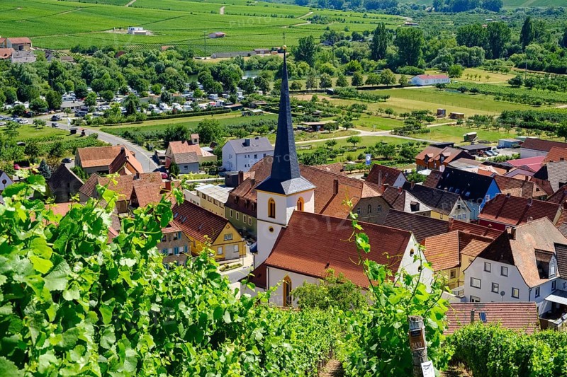Escherndorf near Volkach