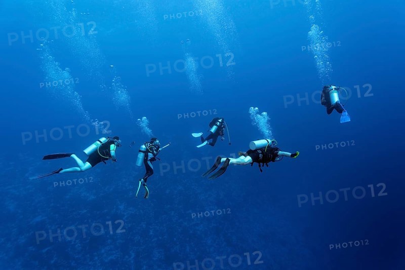 Group of divers diving to the coral reef