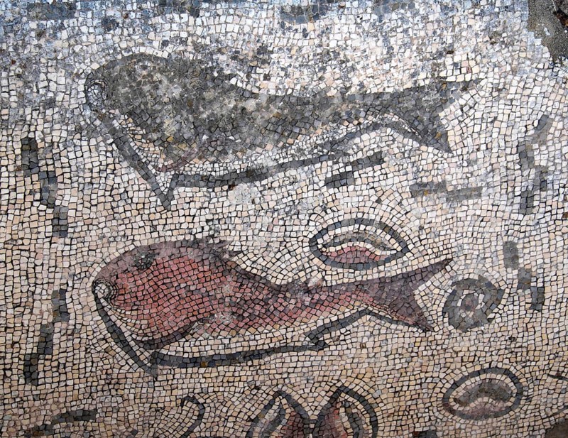 Mosaic with fish figure
