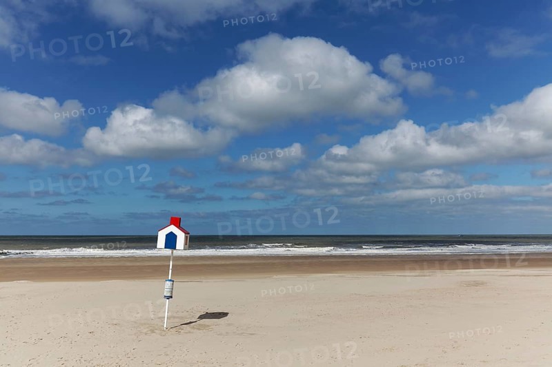 Sandy beach with marked beach section