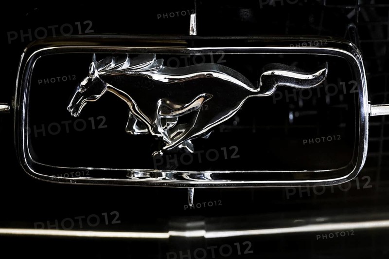 Detail Ford Mustang logo
