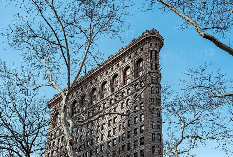 Tree and Flatiron Building