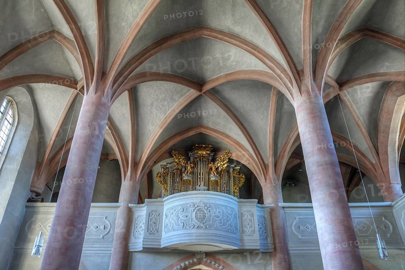 Organ gallery and Gothic vault