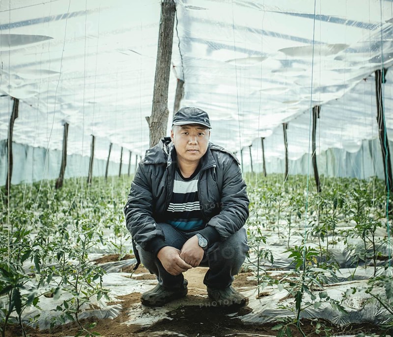 Greenhouse worker