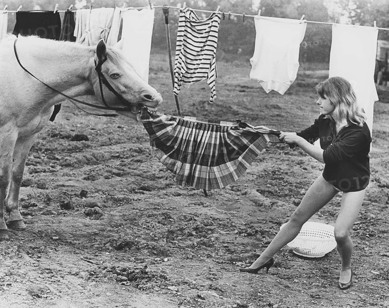Horse steals skirt
