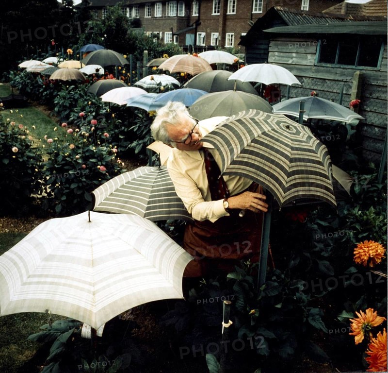 Gardener with umbrellas