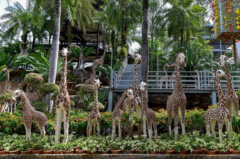 Giraffe figures