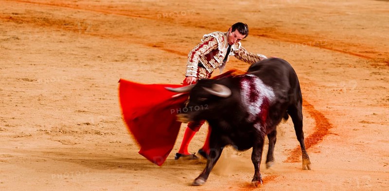 Bull with Matador