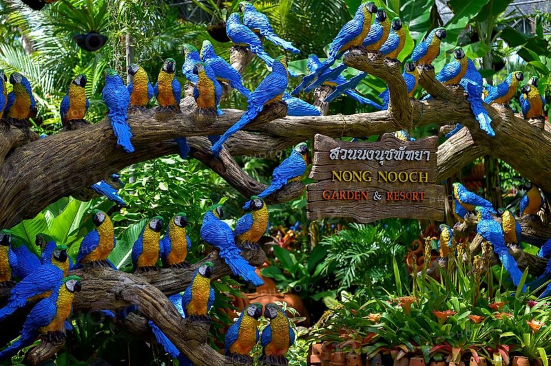 Parrot figures