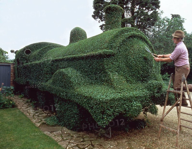 Gardener cuts draught from hedges