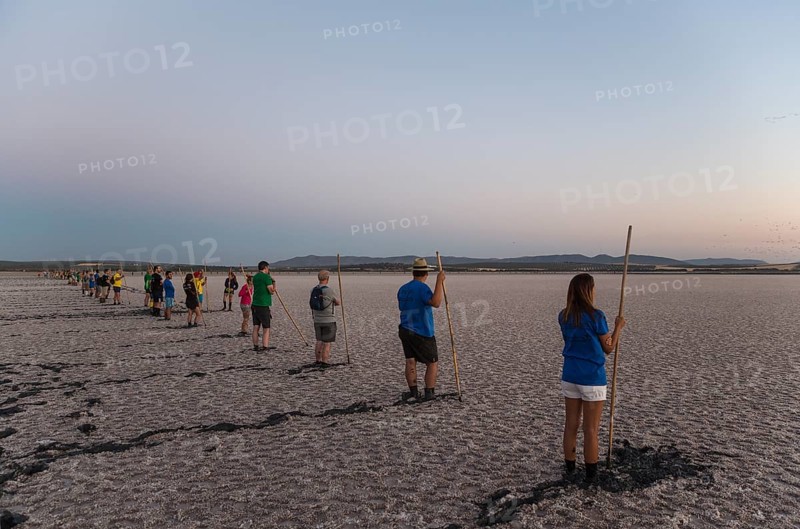 Volunteers at dawn at the Laguna de Fuente de Piedra