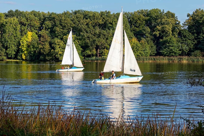 Sailboats
