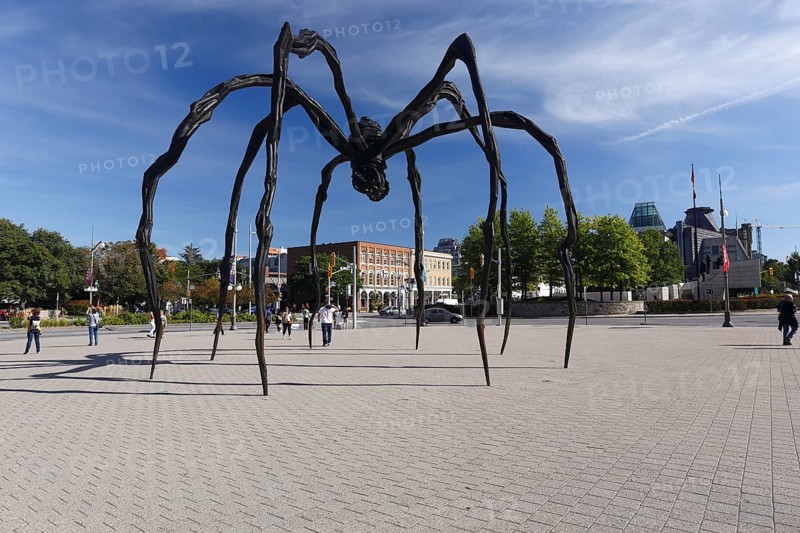Giant spider statue made by Louise Bourgeois