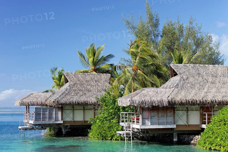 Bungalows by the sea with palm trees