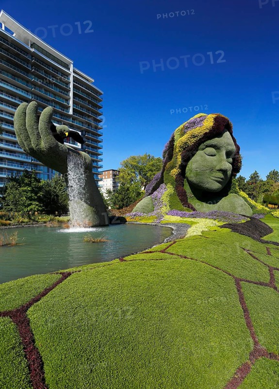 Plant sculpture