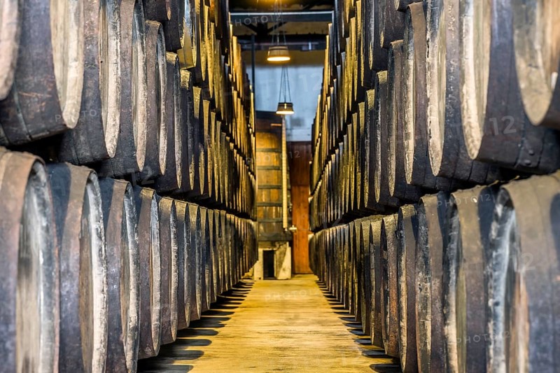 Plenty of port wine barrels in a wine cellar in Vila Nova de Gaia
