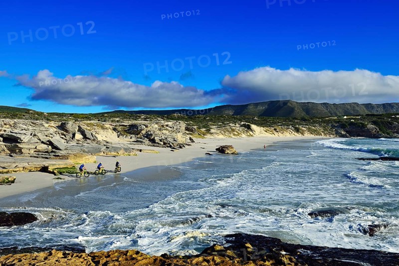 Mountain bikers with Fatbikes at the beach