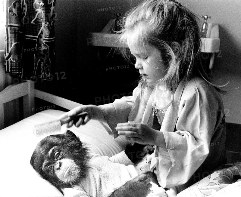 Girl with chimpanzee baby