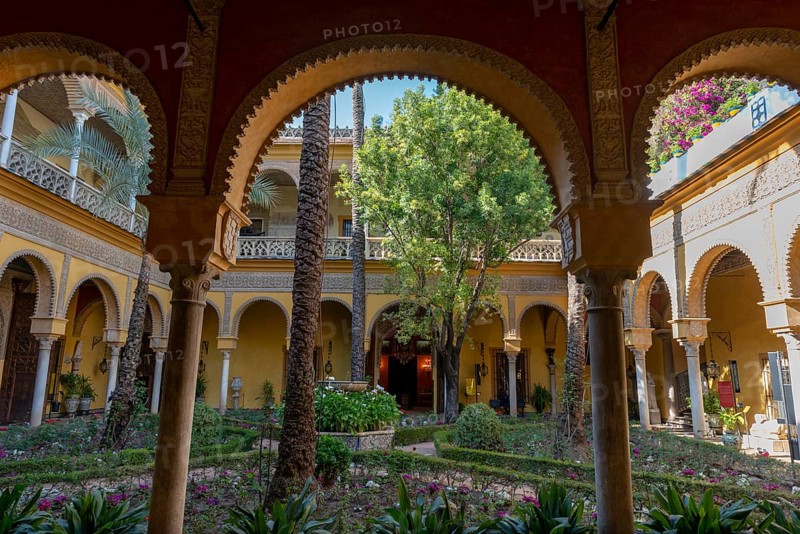Courtyard with palm trees