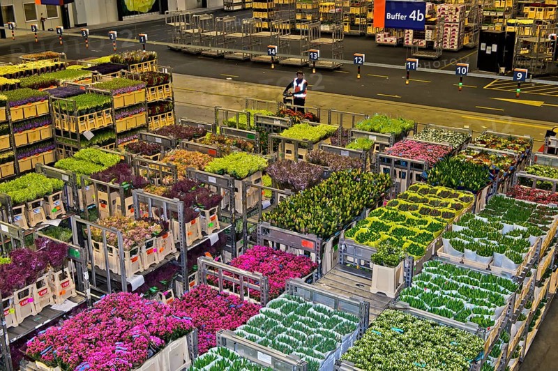 Boxes of flowers ready for dispatch in a warehouse