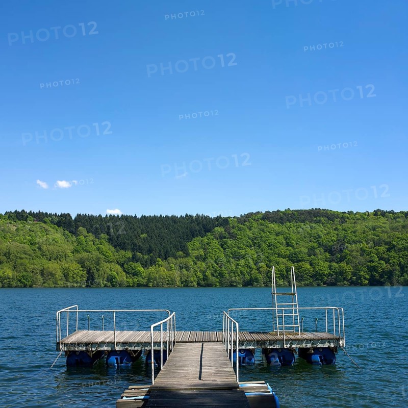 Swimming diving board and wooden pontoon at the edge of a lake surrounded the trees