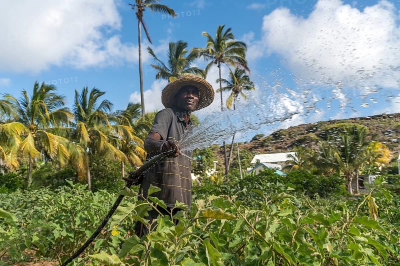 African farmer irrigaties field