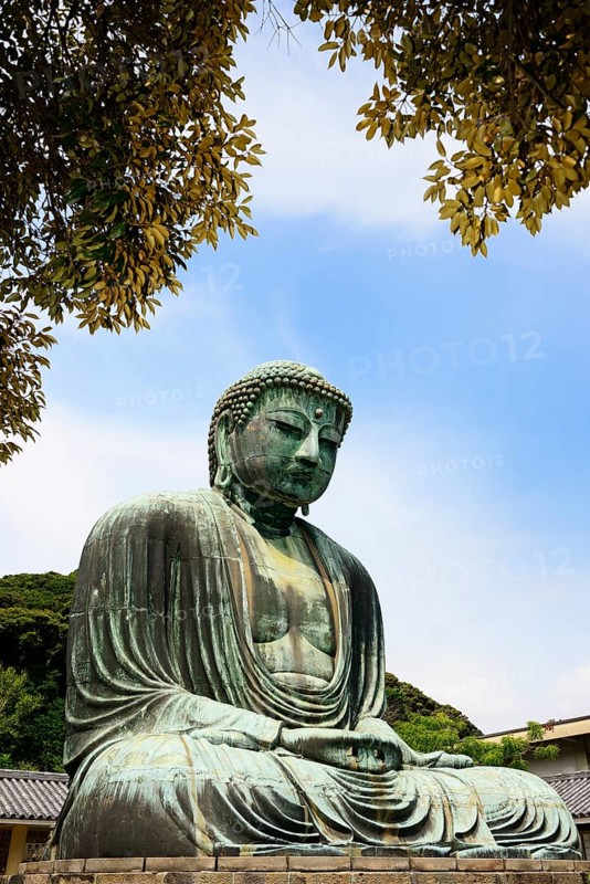 Sitting Buddha Amida Nyorai