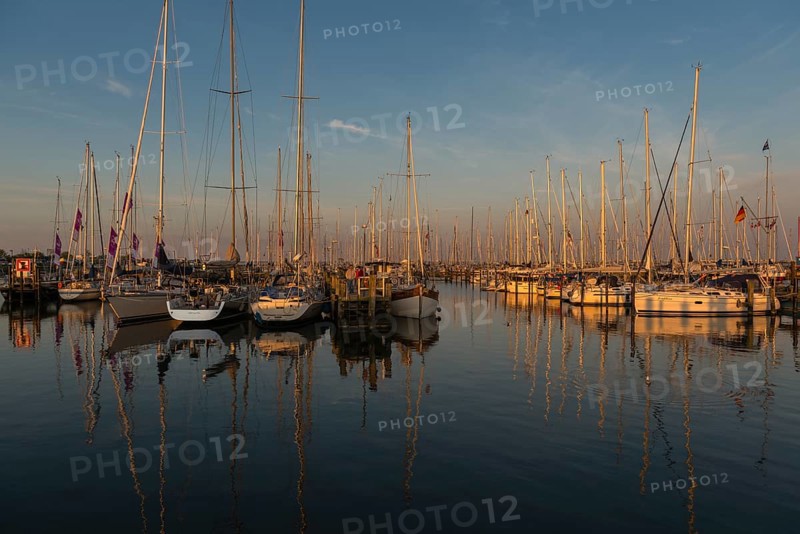 Sailboats in the marina Maasholm
