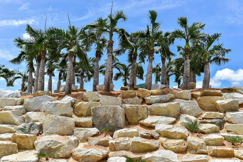 Imitation Stonehenge with Palms