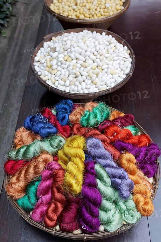 Colored silk in pigtails and white silkworm cocoons