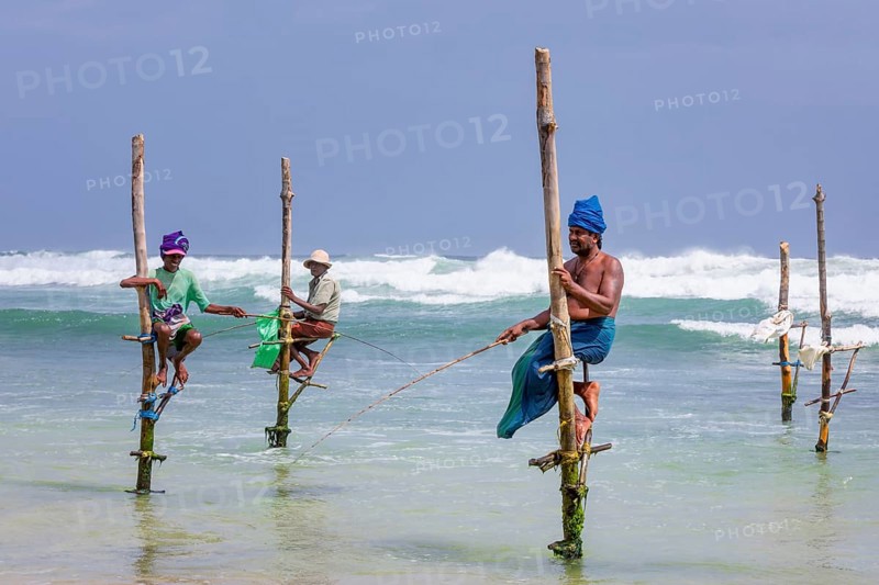 Stilt fishermen