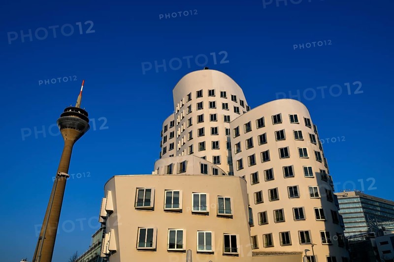 Rhine Tower with Gehry buildings