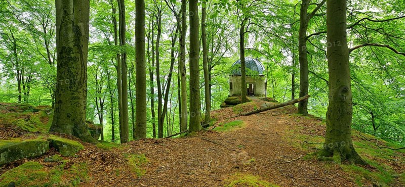 Pavilion from 1593 at the Kleiner Winterberg mountain surrounded by old beech forest
