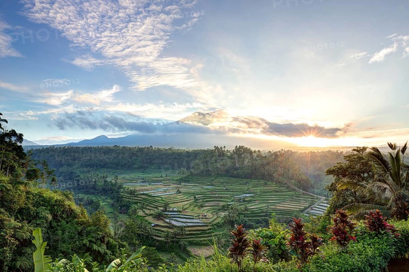 View of rice terraces and Gunung Agung volcano at sunrise