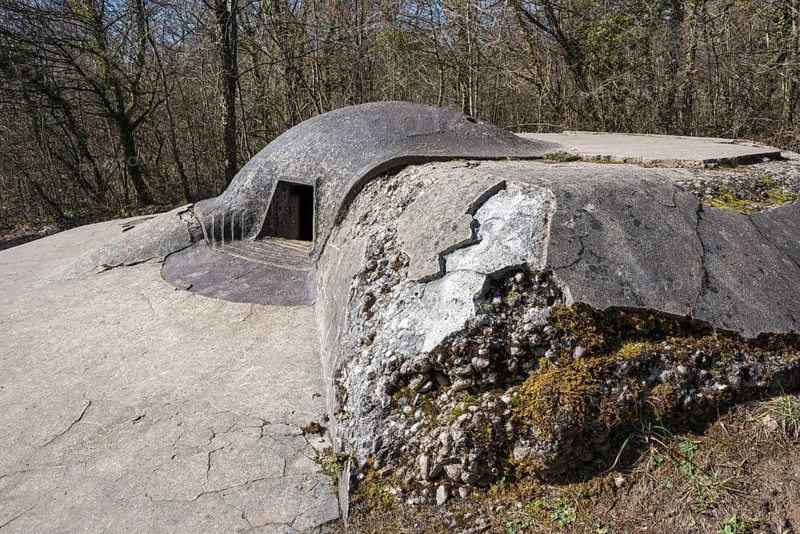 French machine-gun casemates