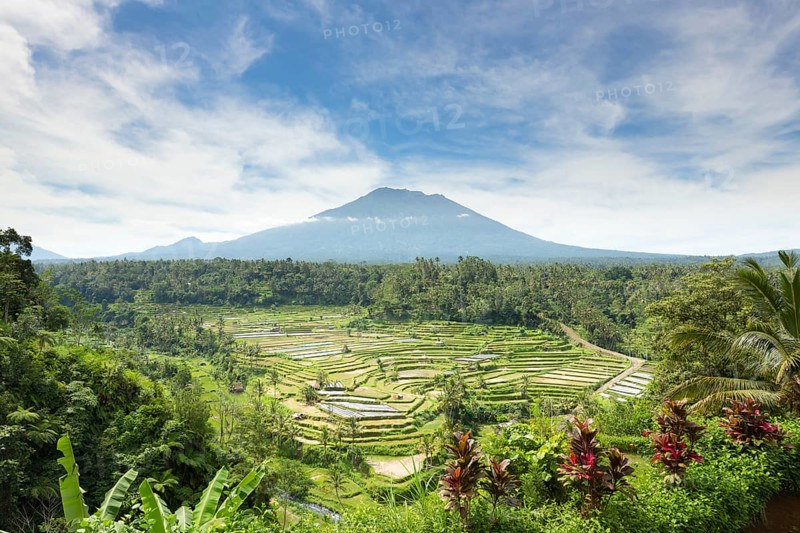 View of rice terraces and Gunung Agung volcano