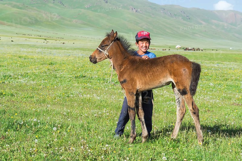 Kyrgyz boy with his foal