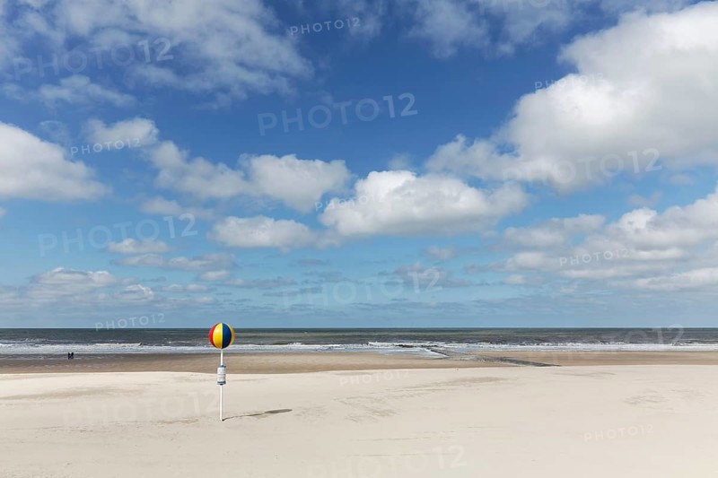 Sandy beach with marked beach section