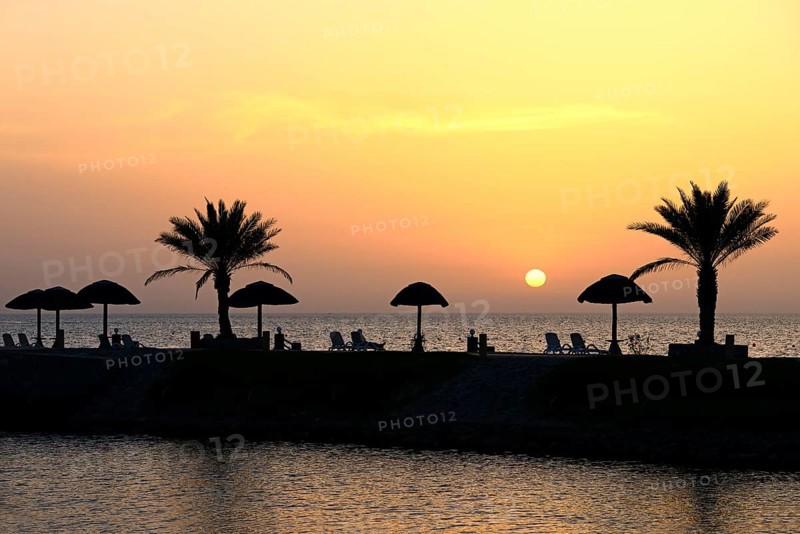 Sunset with water reflection from palm trees and sunshades